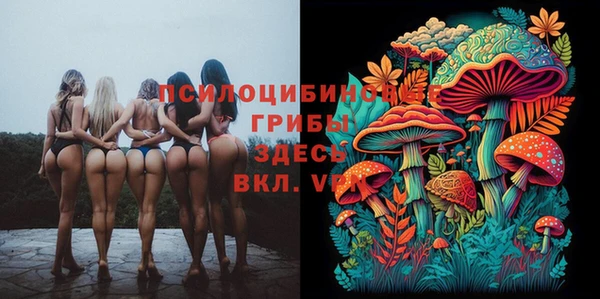 mix Алексин